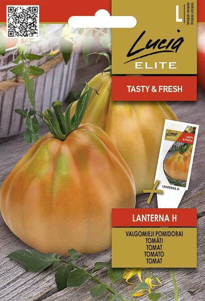 Tomaatti "Lanterna" F1